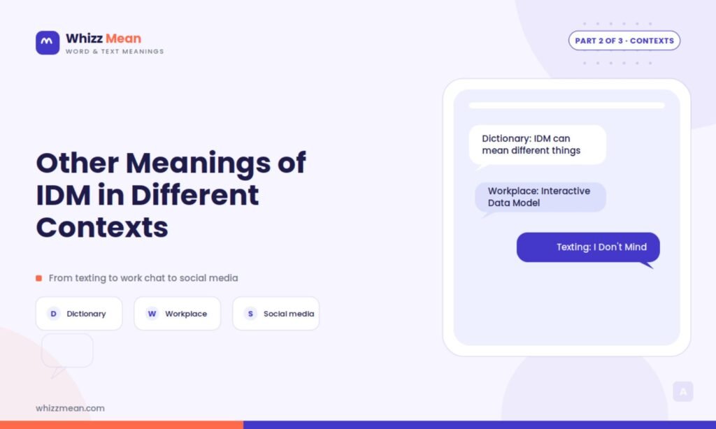 Other Meanings of IDM in Different Contexts