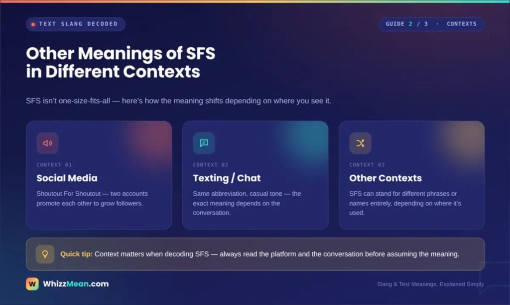 Other Meanings of SFS Meaning in Text in Different Contexts