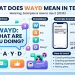 What Does WAYD Mean in Text? Meaning, Examples & How to Use It (2026)